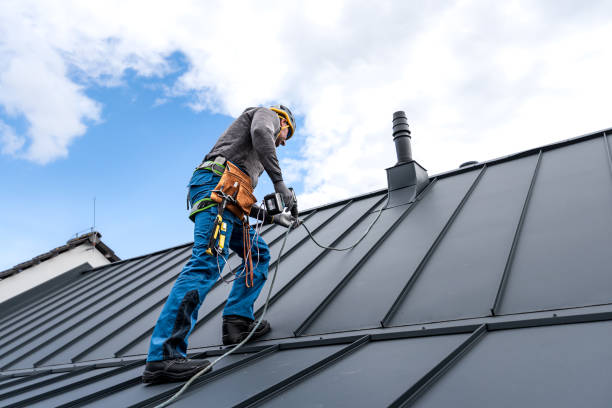 Best Metal Roofing Installation  in Preston, ID